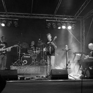 150912-Stadtfest-Buchholz-10